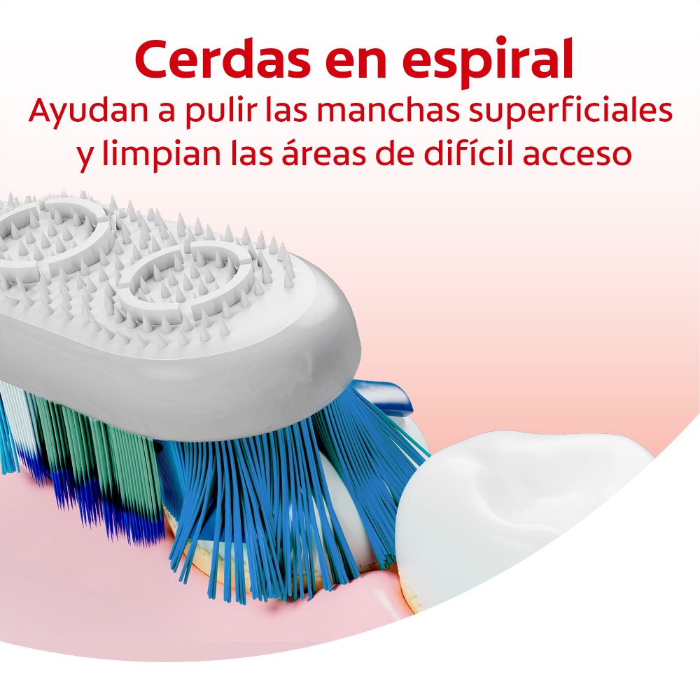 Cerdas en espiral